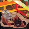 Wolf-Parade